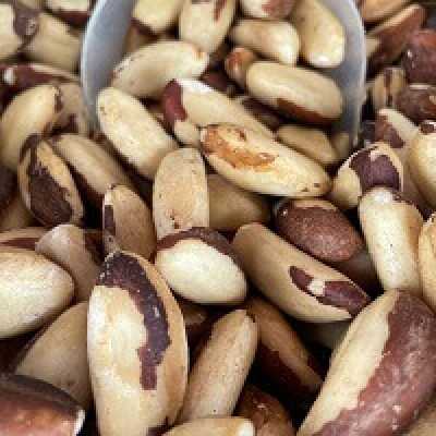 Castanha do Pará Sem Casca Média 100g a granel