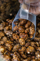 Castanha de Caju Caramelizada Com Café