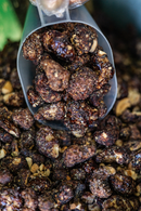 Castanha Caramelizada com Chocolate