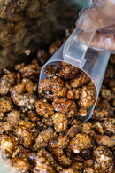 Castanha Caramelizada com Café